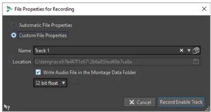 STEINBERG WaveLab Pro 12 - Boîte de dialogue Propriété de fichier pour l'enregistrement - 1