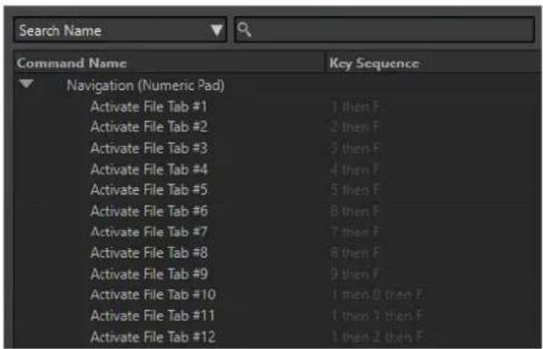 STEINBERG WaveLab Cast 1 - Raccourcis clavier indexés - 1