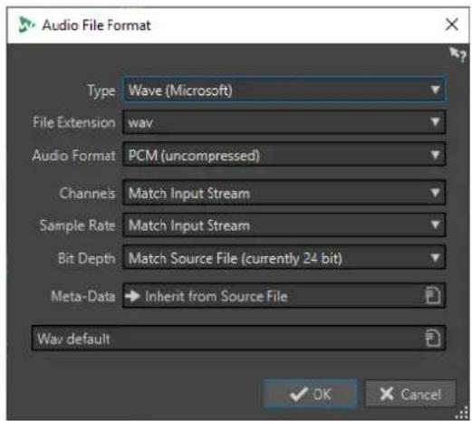 STEINBERG WaveLab Cast 1 - Boîte de dialogue Format de fichier audio - 1