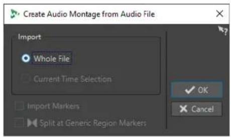 STEINBERG WaveLab Cast 1 - Boîte de dialogue Créer un montage audio depuis un fichier audio - 1