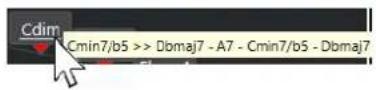 STEINBERG Cubase LE 13 - Assistant Proximate - 2