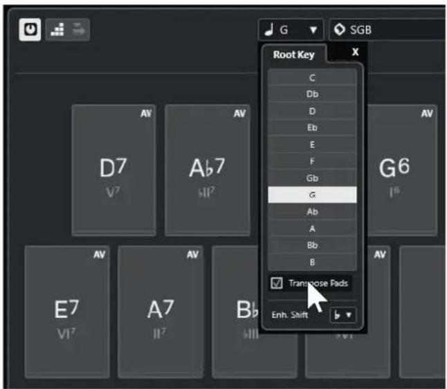 STEINBERG Cubase LE 13 - PROCEDARANSI - 1