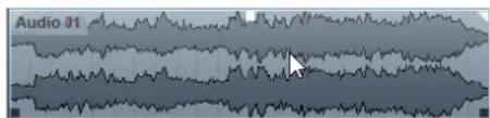 STEINBERG Cubase LE 13 - PROCEDARINSI - 1