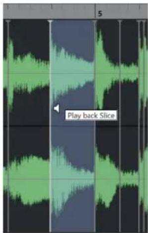 STEINBERG Cubase LE 13 - PROCEDARINSI - 2