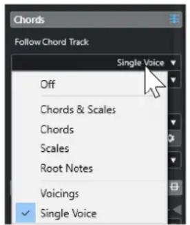 STEINBERG Cubase LE 13 - Modes de la fonction Suivre piste Accords - 1
