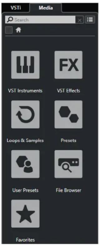 VSTi Media Search VST Instruments VST Effects Loops & Samples Presets User Presets File Browser Favorites