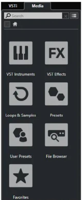 VSTi Media Search VST Instruments VST Effects Loops & Samples Presets User Presets File Browser Favorites