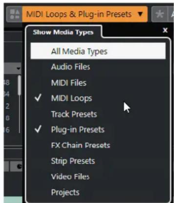 MIDI Loops & Plug-in Presets Show Media Types All Media Types Audio Files MIDI Files ✓ MIDI Loops Track Presets ✓ Plug-in Presets FX Chain Presets Strip Presets Video Files Projects