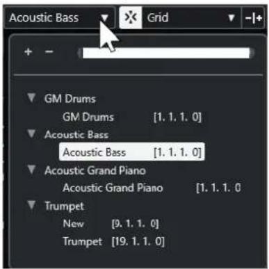 STEINBERG Cubase AI 13 - Activer le conteneur pour l'édition - 1