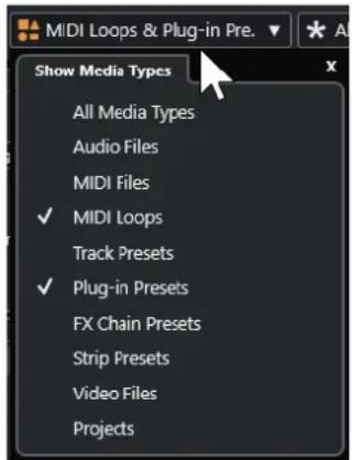 MIDI Loops & Plug-in Pre. Show Media Types All Media Types Audio Files MIDI Files ✓ MIDI Loops Track Presets ✓ Plug-in Presets FX Chain Presets Strip Presets Video Files Projects