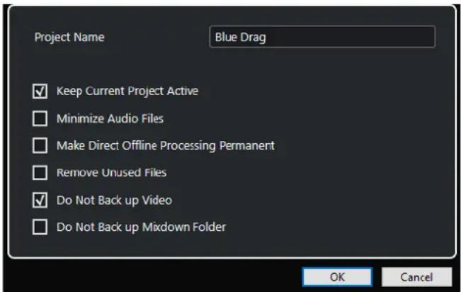 Project Name Blue Drag ✓ Keep Current Project Active ☐ Minimize Audio Files ☐ Make Direct Offline Processing Permanent ☐ Remove Unused Files ✓ Do Not Back up Video ☐ Do Not Back up Mixdown Folder OK Cancel