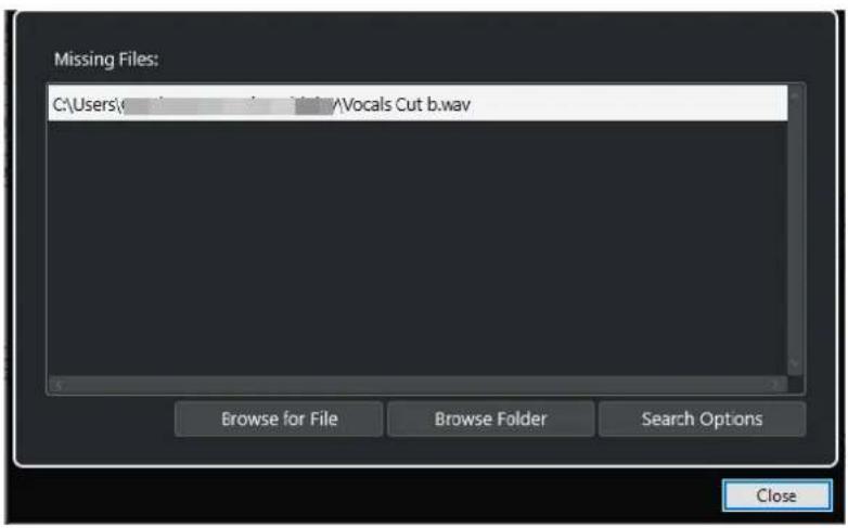STEINBERG Cubase AI 13 - Boîte de dialogue Gérer les fichiers manquants - 1