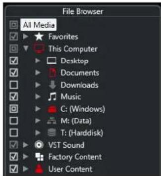 File Browser All Media Favorites This Computer Desktop Documents Downloads Music C: (Windows) M: (Data) T: (Harddisk) VST Sound Factory Content User Content