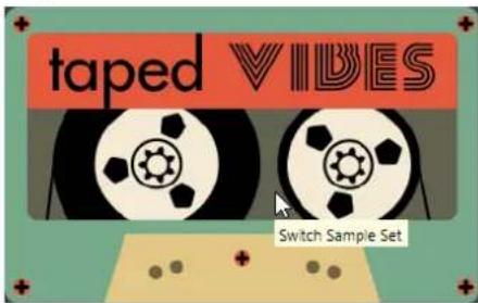 STEINBERG Taped Vibes - Sélecteur de jeu d'échantillons - 2
