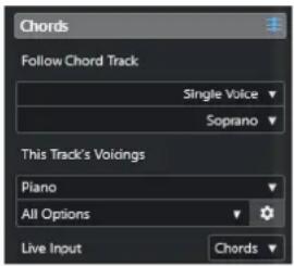 STEINBERG Cubase Elements 13 - Section Accords pour les pistes MIDI - 1