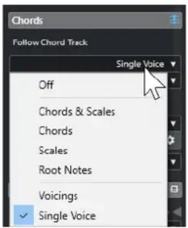 Chords Follow Chord Track Single Voice Off Chords & Scales Chords Scales Root Notes Voicings Single Voice