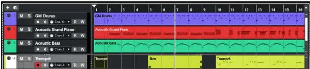STEINBERG Cubase Elements 13 - À NOTER - 1