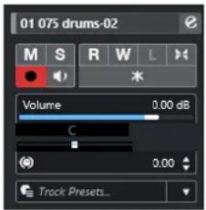 STEINBERG Cubase Elements 13 - Section Paramètres de base des pistes Audio - 1
