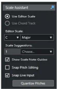 STEINBERG Cubase Elements 13 - Assistant Gamme dans l'Éditeur clavier - 1