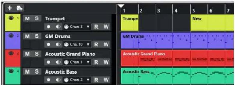 STEINBERG Cubase Elements 13 - Zone de projet - 1