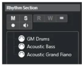 STEINBERG Cubase Elements 13 - Inspecteur des pistes Répertoire - 1