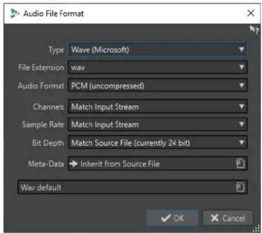 STEINBERG WaveLab Cast 2 - Boîte de dialogue Format de fichier audio - 1