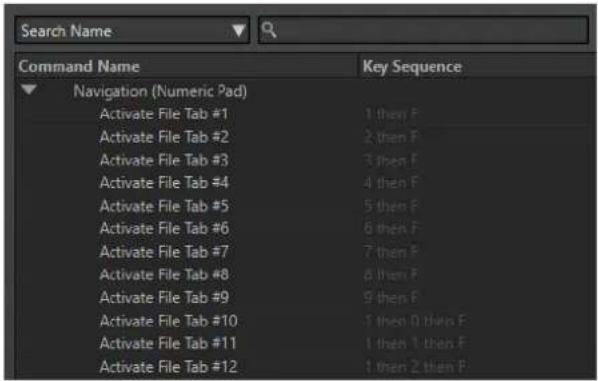 Search Name Command Name Key Sequence Navigation (Numeric Pad) Activate File Tab #1 1 then F Activate File Tab #2 2 then F Activate File Tab #3 3 then F Activate File Tab #4 4 then F Activate File Tab #5 5 then F Activate File Tab #6 6 then F Activate File Tab #7 7 then F Activate File Tab #8 8 then F Activate File Tab #9 9 then F Activate File Tab #10 1 then 0 then F Activate File Tab #11 1 then 1 then F Activate File Tab #12 1 then 2 then F