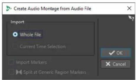 STEINBERG WaveLab Cast 2 - Boîte de dialogue Créer un montage audio depuis un fichier audio - 1