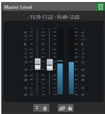 STEINBERG WaveLab Cast 2 - Panneau Niveau maître - 1