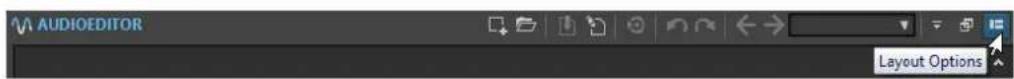 AUDIOEDITOR Layout Options