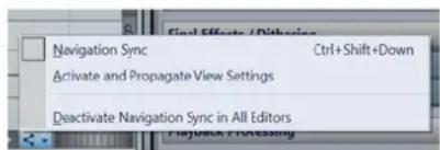 STEINBERG WaveLab Elements 12 - Menu Navigation Synchronisée - 1