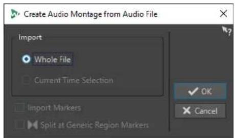STEINBERG WaveLab Elements 12 - Boîte de dialogue Créer un montage audio depuis un fichier audio - 1