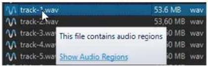 STEINBERG WaveLab Elements 12 - Régions audio - 1