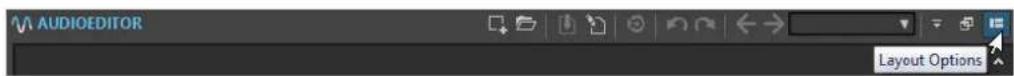 AUDIOEDITOR Layout Options