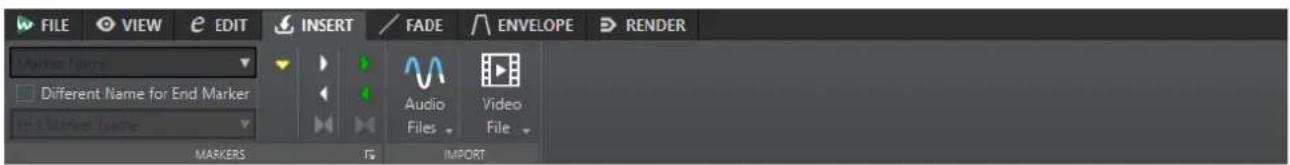 FILE VIEW EDIT INSERT FADE ENVELOPE RENDER Marker Name Different Name for End Marker #1-Marker Name MARKERS Audio Files Video File IMPORT