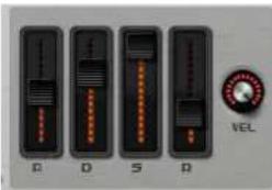 STEINBERG Padshop 1 - Fader dell'inviluppo e controllo Velocity - 1