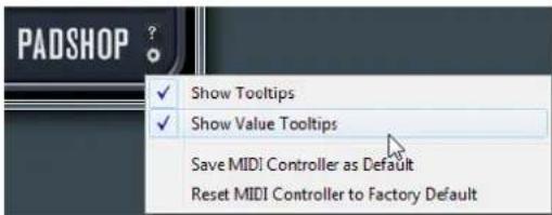 STEINBERG Padshop 1 - Additional Settings - 1
