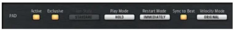 STEINBERG Groove Agent 4 - Pad Section - 1