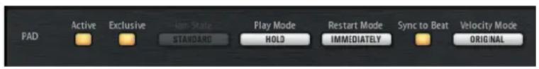 STEINBERG Groove Agent 4 - Pad-Bereich - 1