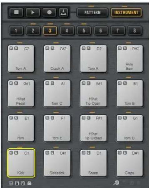 STEINBERG Groove Agent 4 - Pads d'instrument - 1