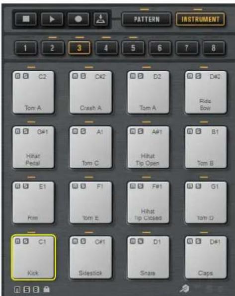 STEINBERG Groove Agent 4 - Instrument-Pads - 1