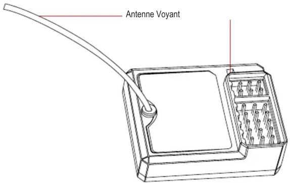 Antenne Voyant