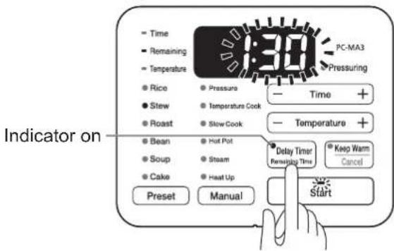 WOOZOO PC-MA3 - Press the delay timer button - 1
