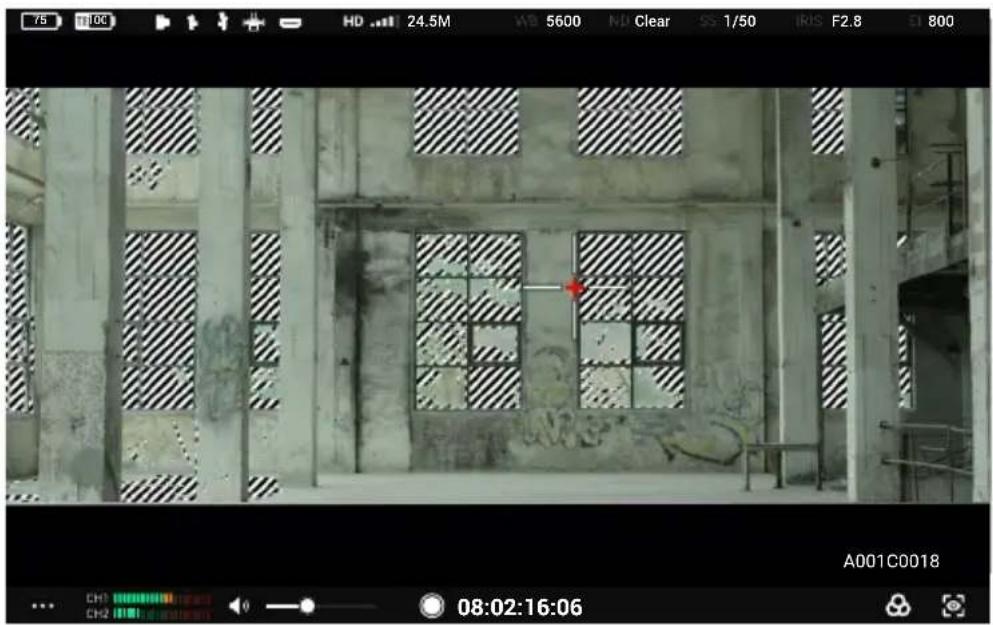 DJI High-Bright Remote Monitor - Definições do assistente de exposição/assistente de focagem - 2