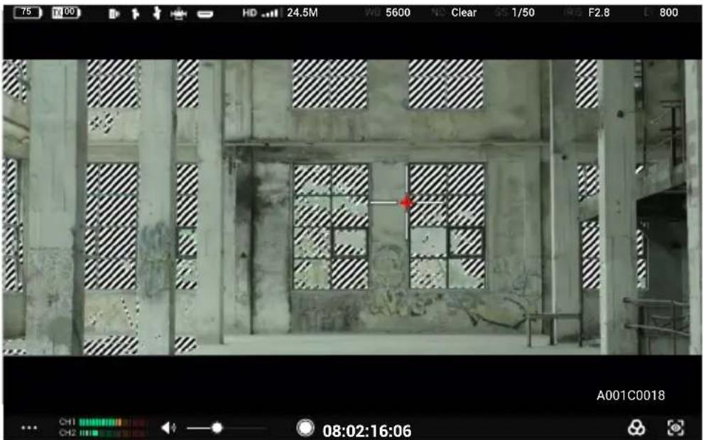 DJI High-Bright Remote Monitor - Paramètres de l'assistant d'exposition/assistant de mise au point - 2