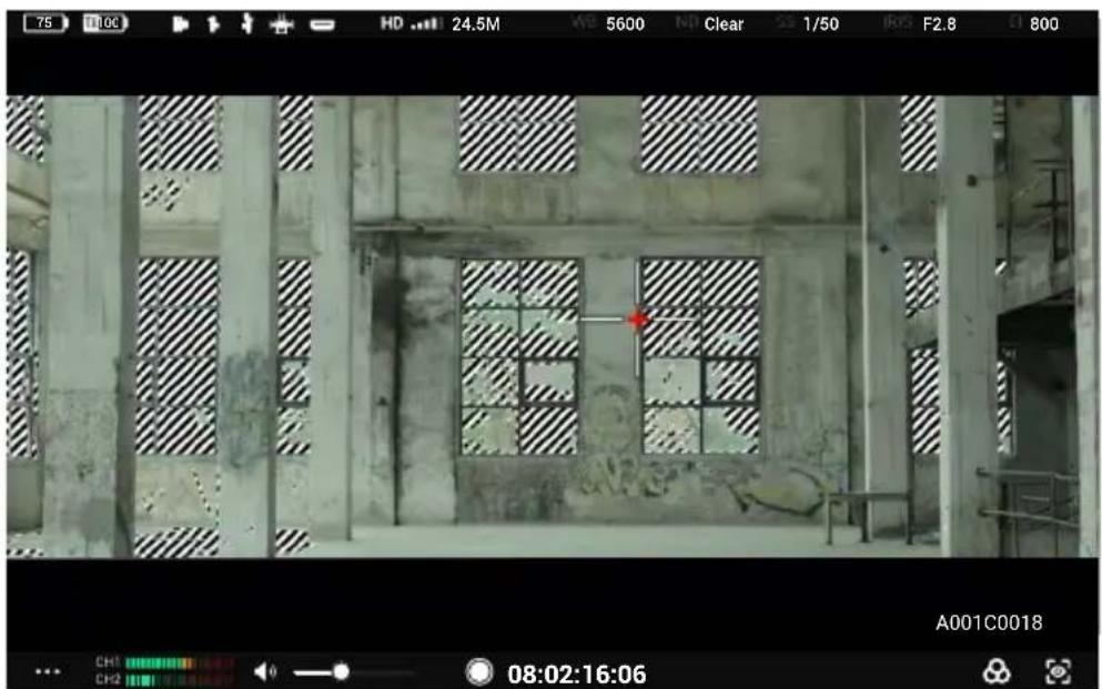 DJI High-Bright Remote Monitor - 曝光辅助 / 对焦辅助设置 - 2