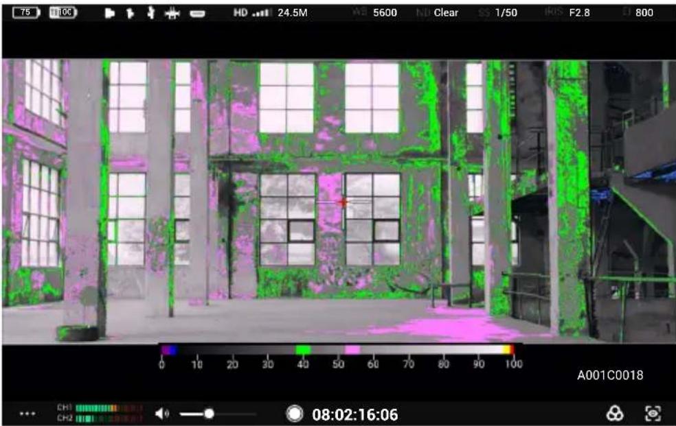 DJI High-Bright Remote Monitor - Exposure Assist/Focus Assist Settings - 4