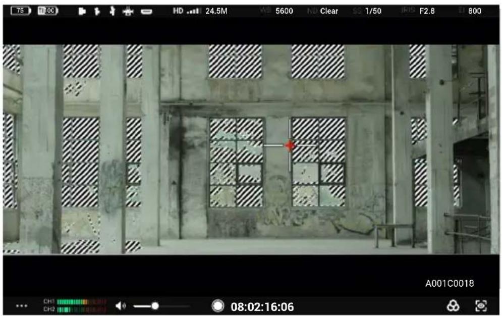 DJI High-Bright Remote Monitor - Impostazioni su Exposure Assistant/Focus Assistant - 2