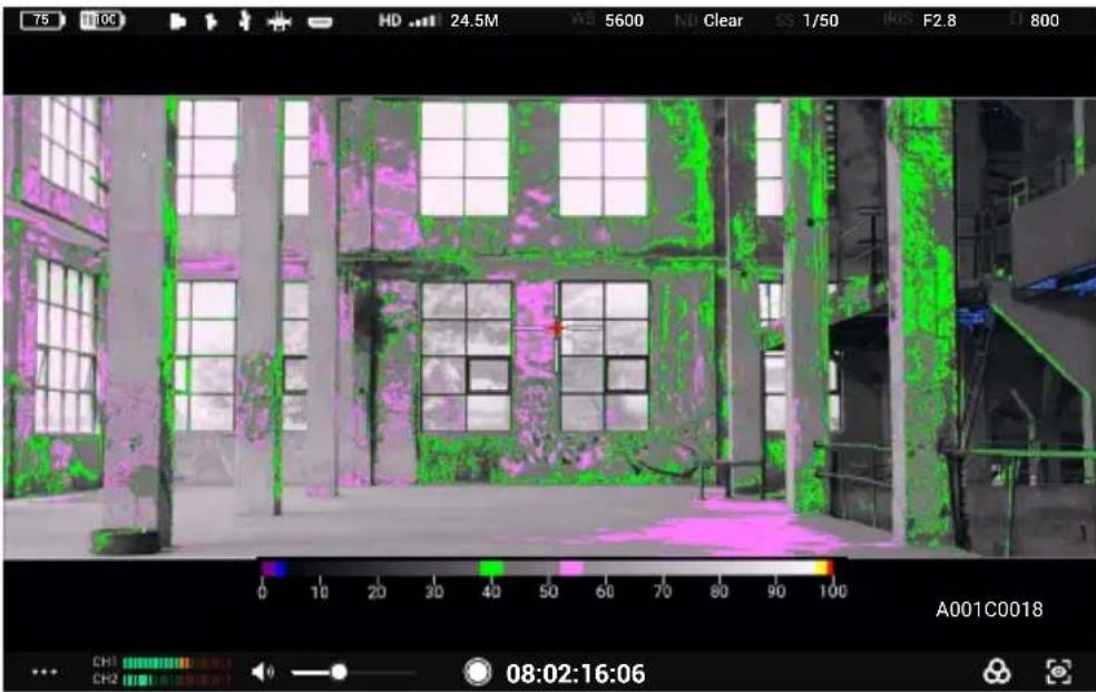 DJI High-Bright Remote Monitor - Configuración de asistente de exposición/asistente de enfoque - 4