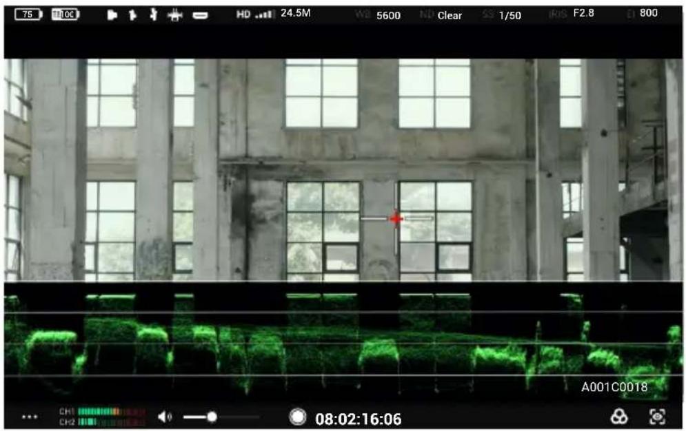 DJI High-Bright Remote Monitor - 露出アシスト/フォーカスアシストの設定 - 3